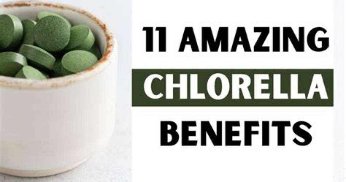 Why Does Chlorella Make Me Vomit?
