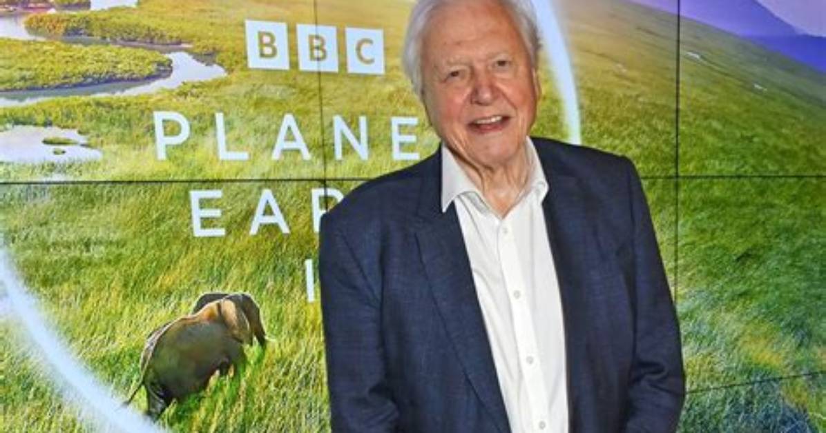 Why Does David Attenborough Eat Meat?