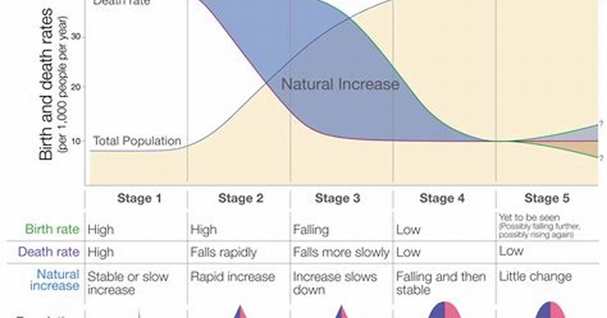 Why Does Demographic Momentum Occur