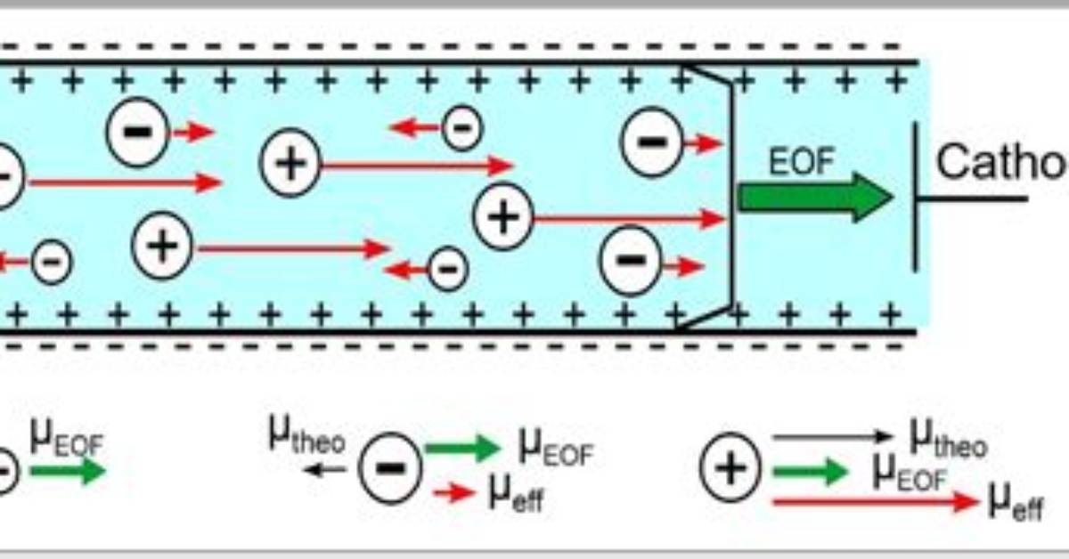 Why Does Electroosmotic Flow Occur?
