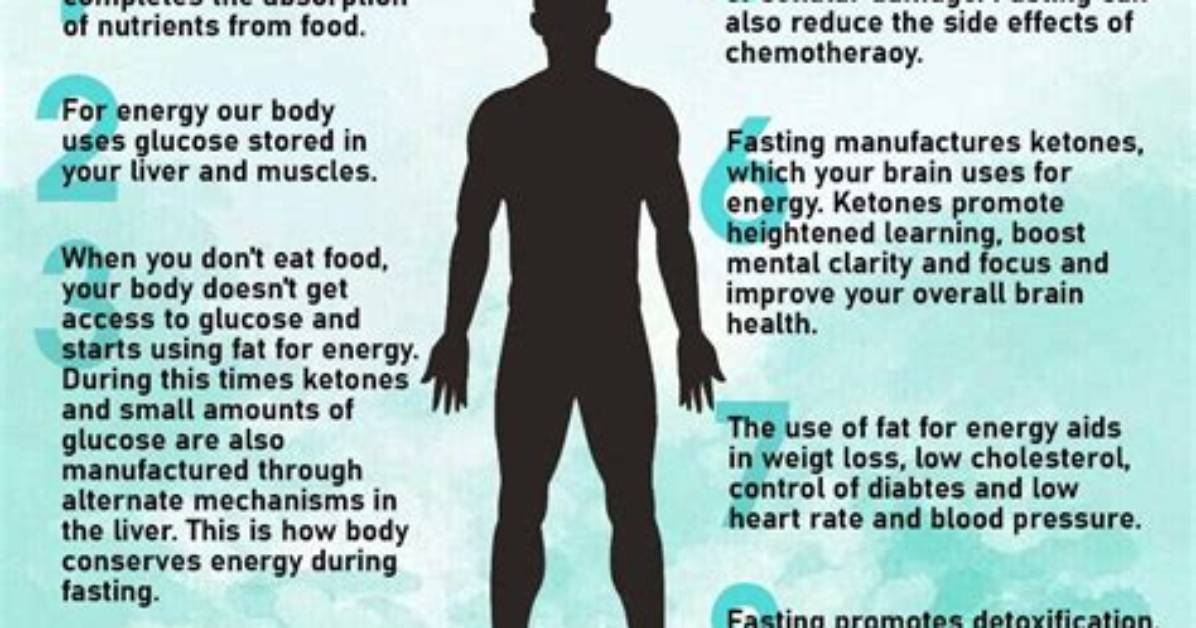Why Does Fasting Give You Energy?