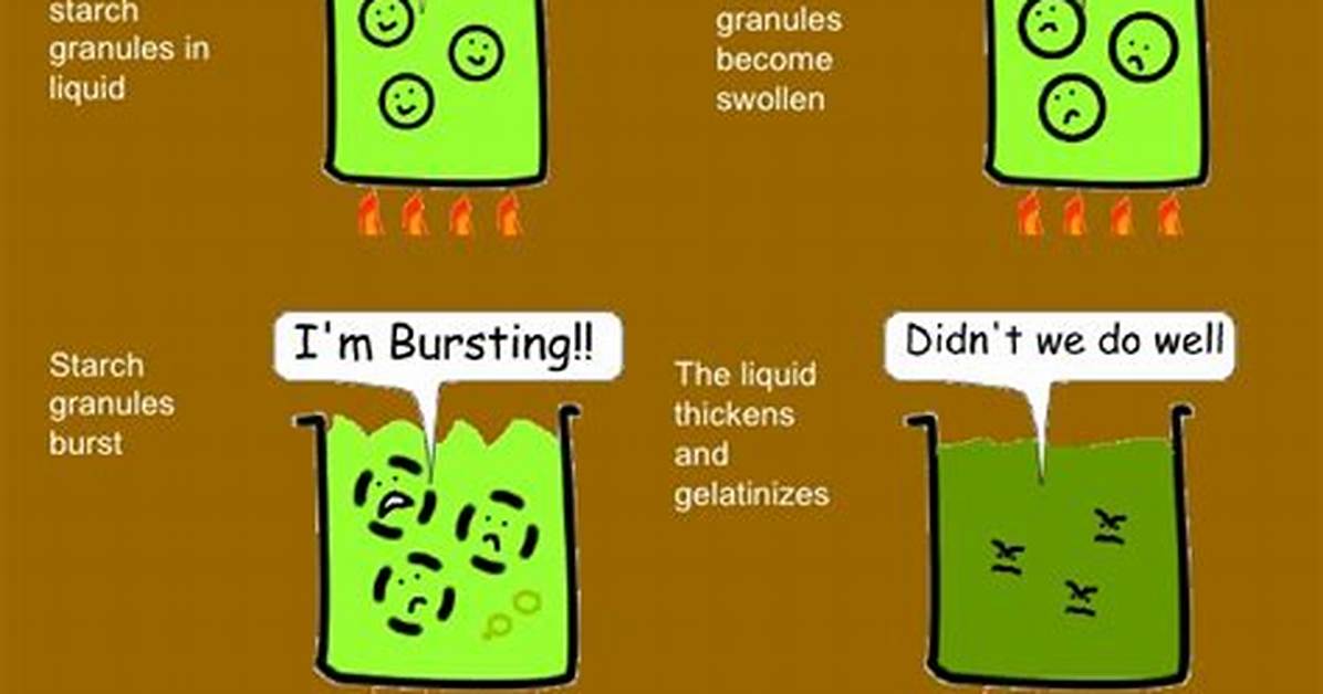 Why Does Gelatinisation Occur?