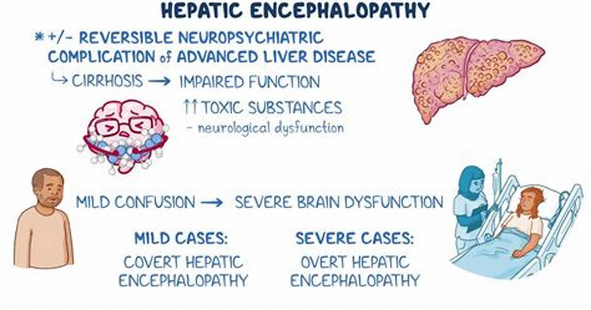 Why Does Hepatic Encephalopathy Occur?