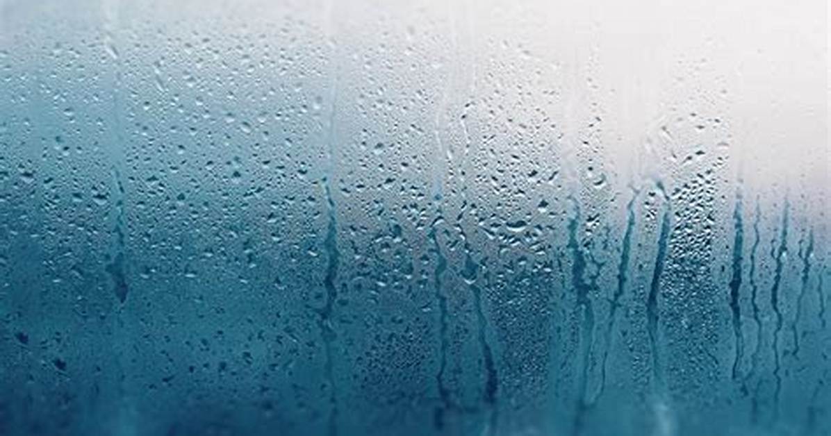 Why Does Humidity Matter?