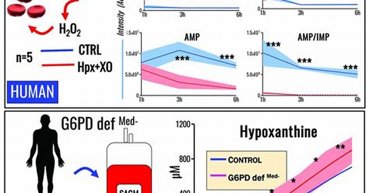 Why Does Hypoxanthine Arise in Cells?