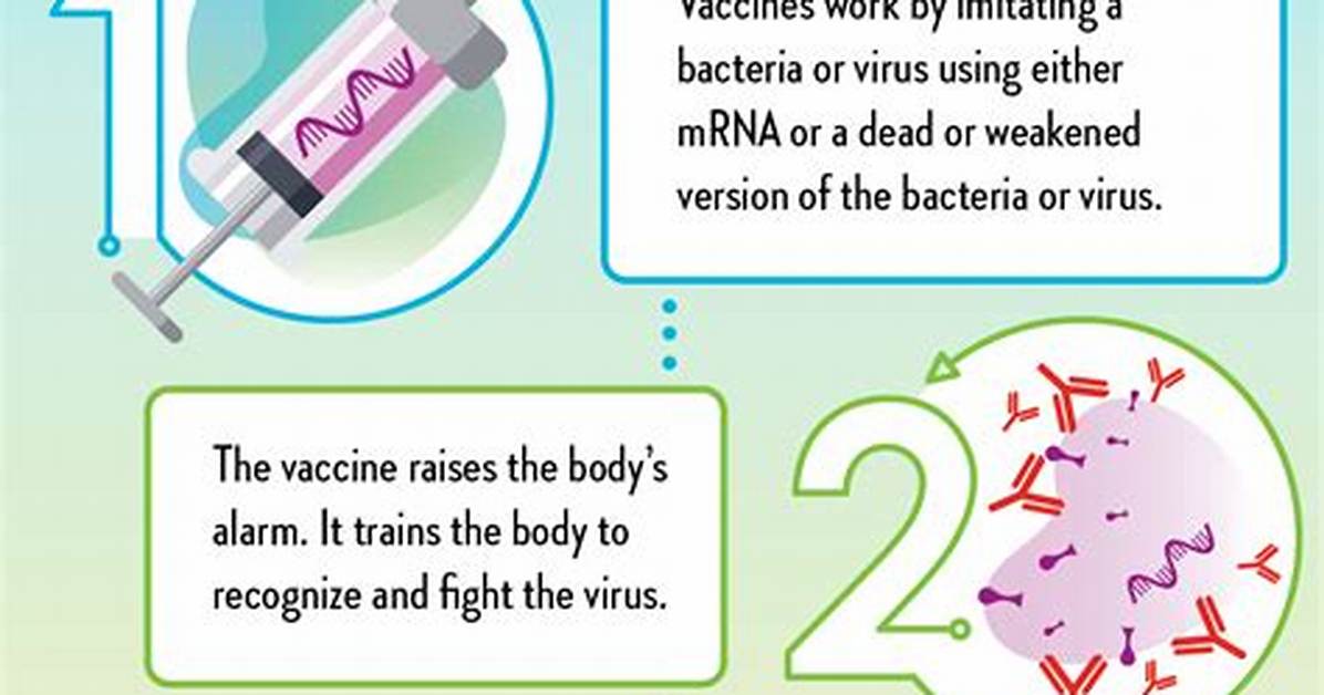 Why Does Immunization Work?