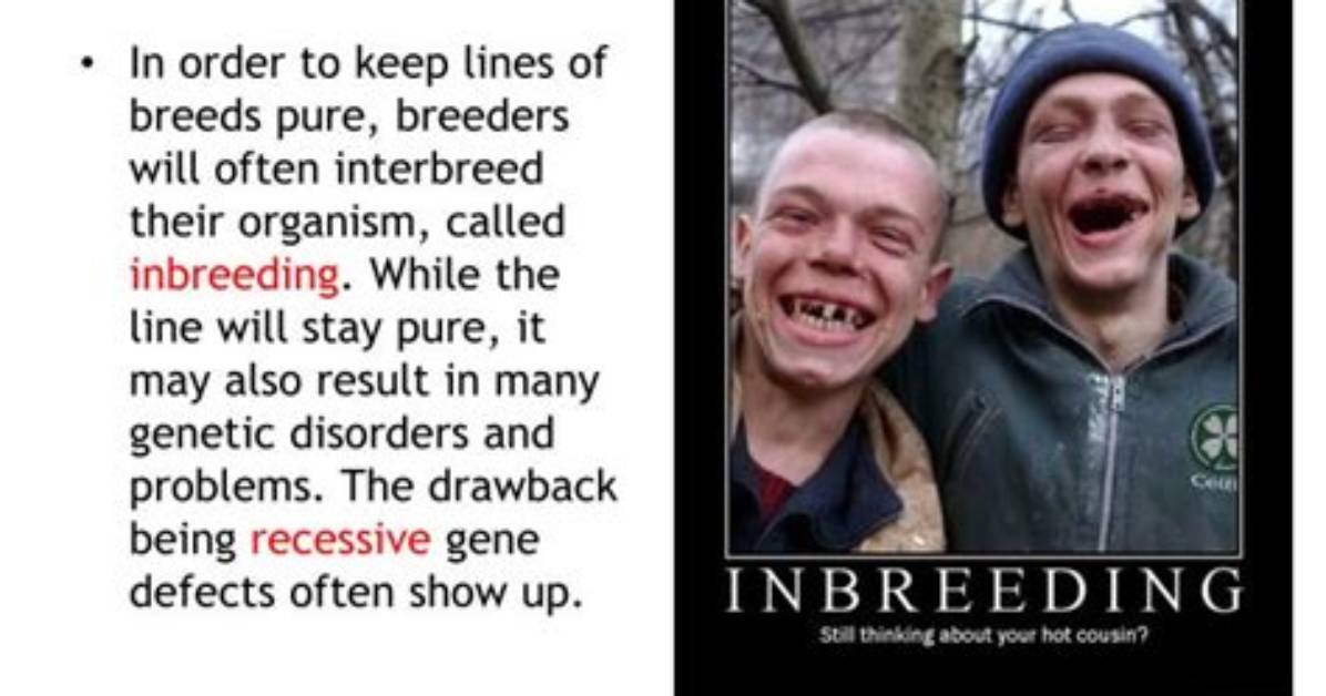 Why Does Inbreeding Cause Genetic Problems