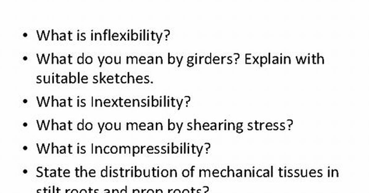 Why Does Inflexibility Mean?