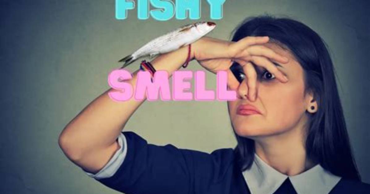 Why Does It Smell Like Fish When It Rains