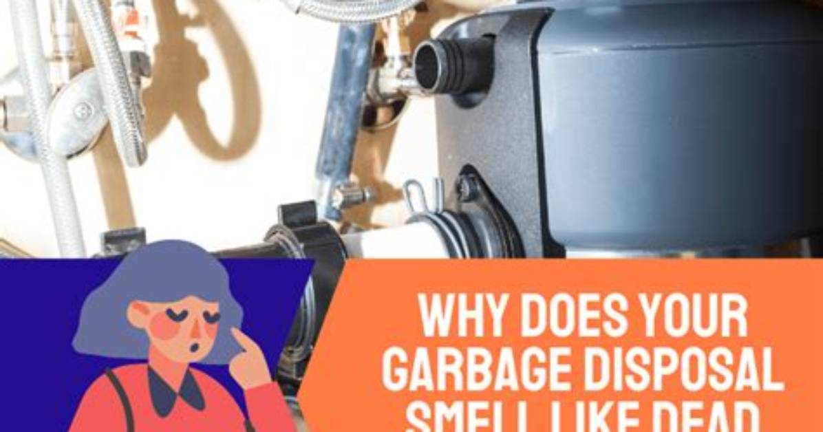 Why Does It Smell Like Garbage in My House