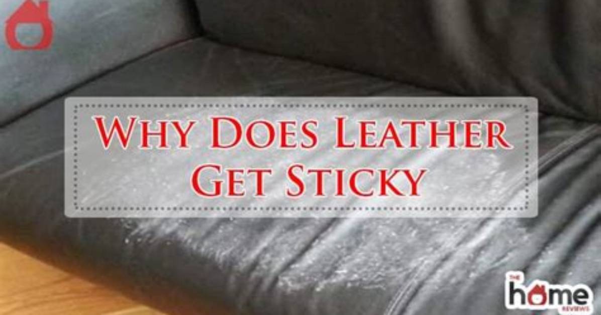 Why Does Leather Go Mouldy