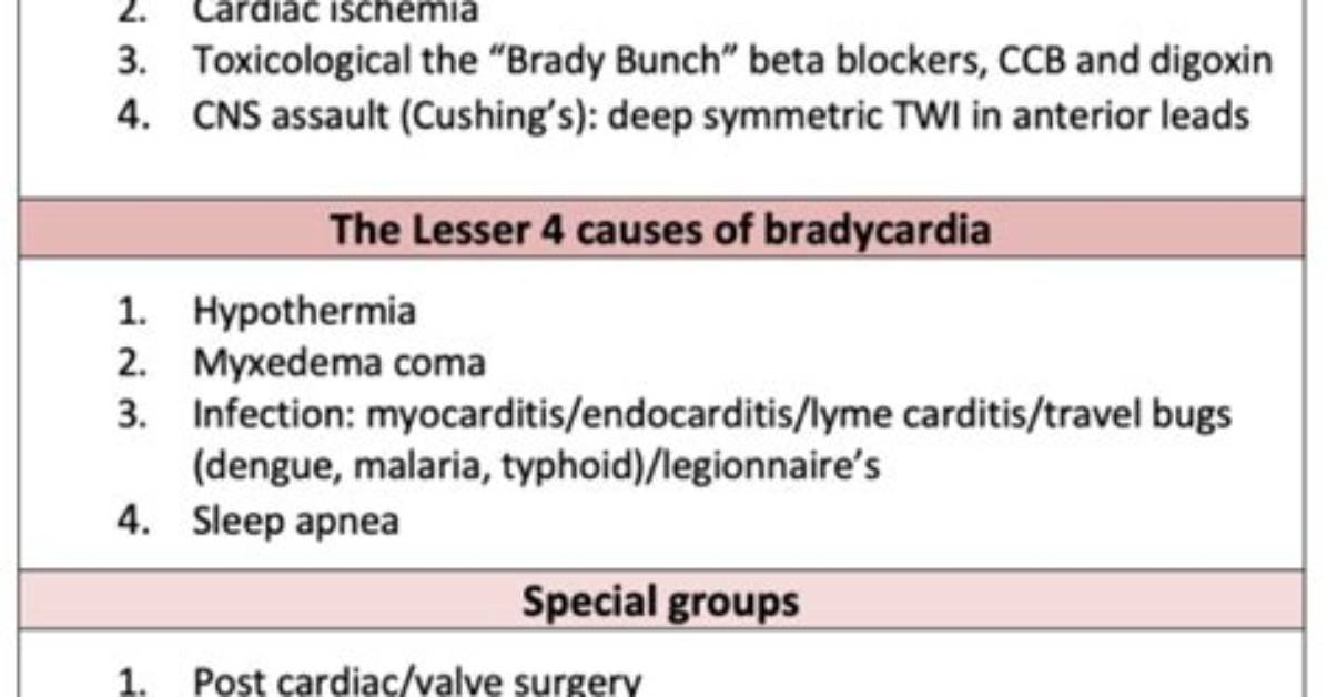 Why Does Levophed Cause Bradycardia?