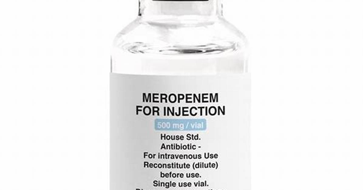 Why Does Meropenem Work?