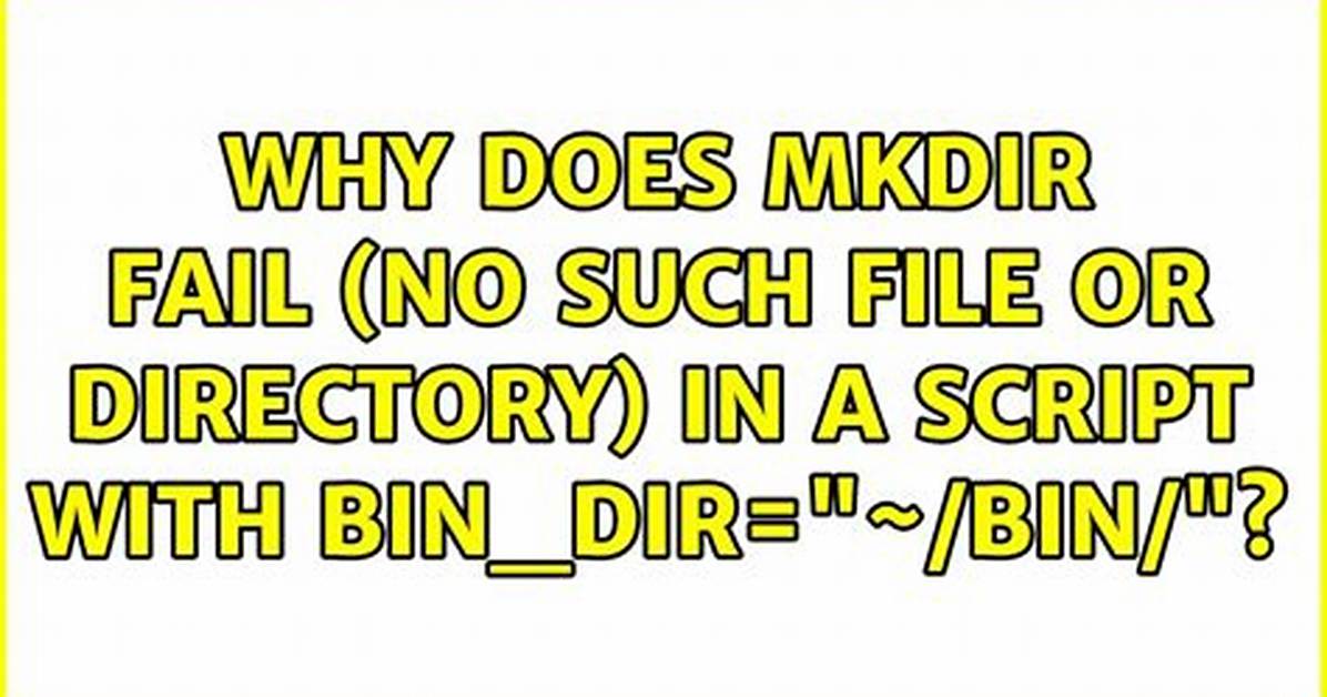 Why Does Mkdir Fail (No Such File or Directory) in a Script with Bin_Dir="~/Bin/"?
