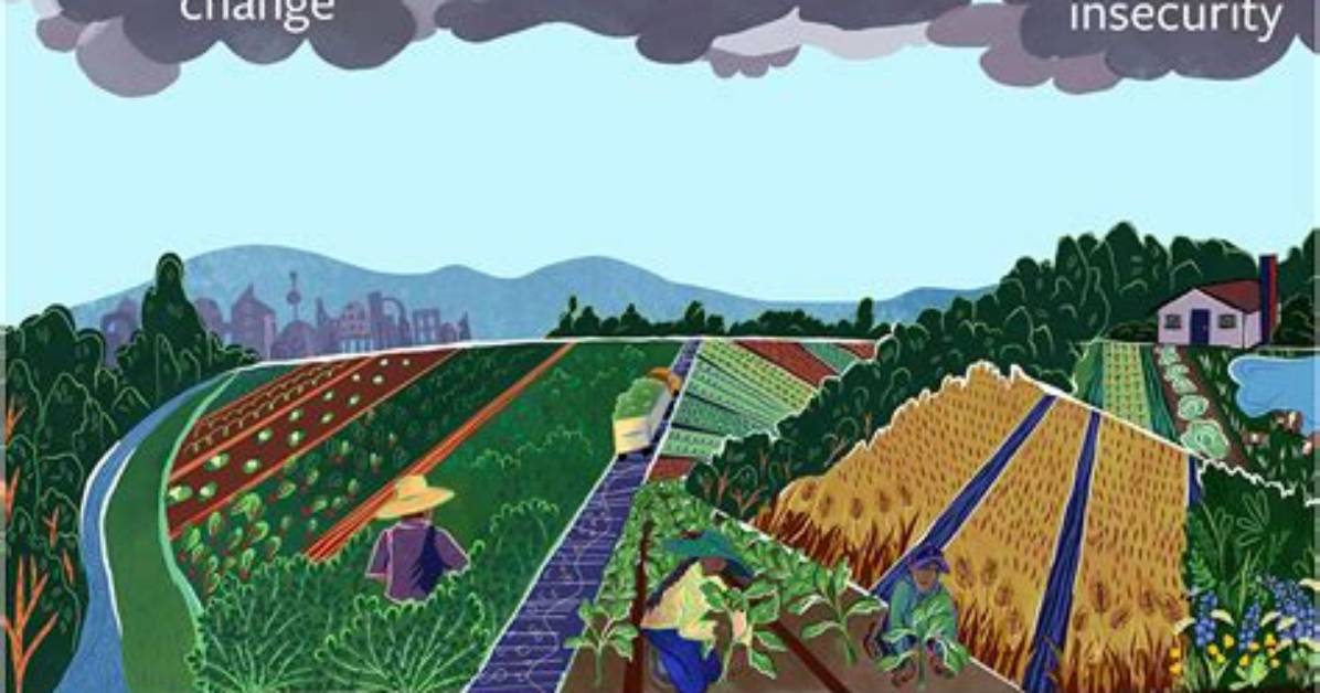 Why Does Monoculture Decrease Biodiversity?