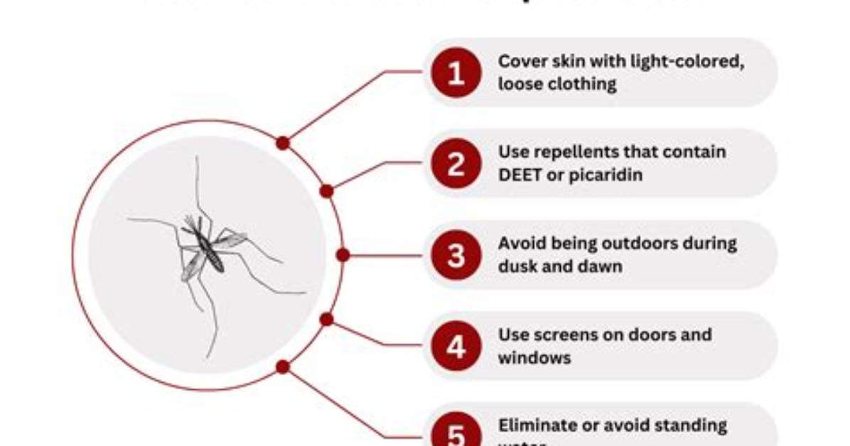 Why Does Mosquitoes Bite You?