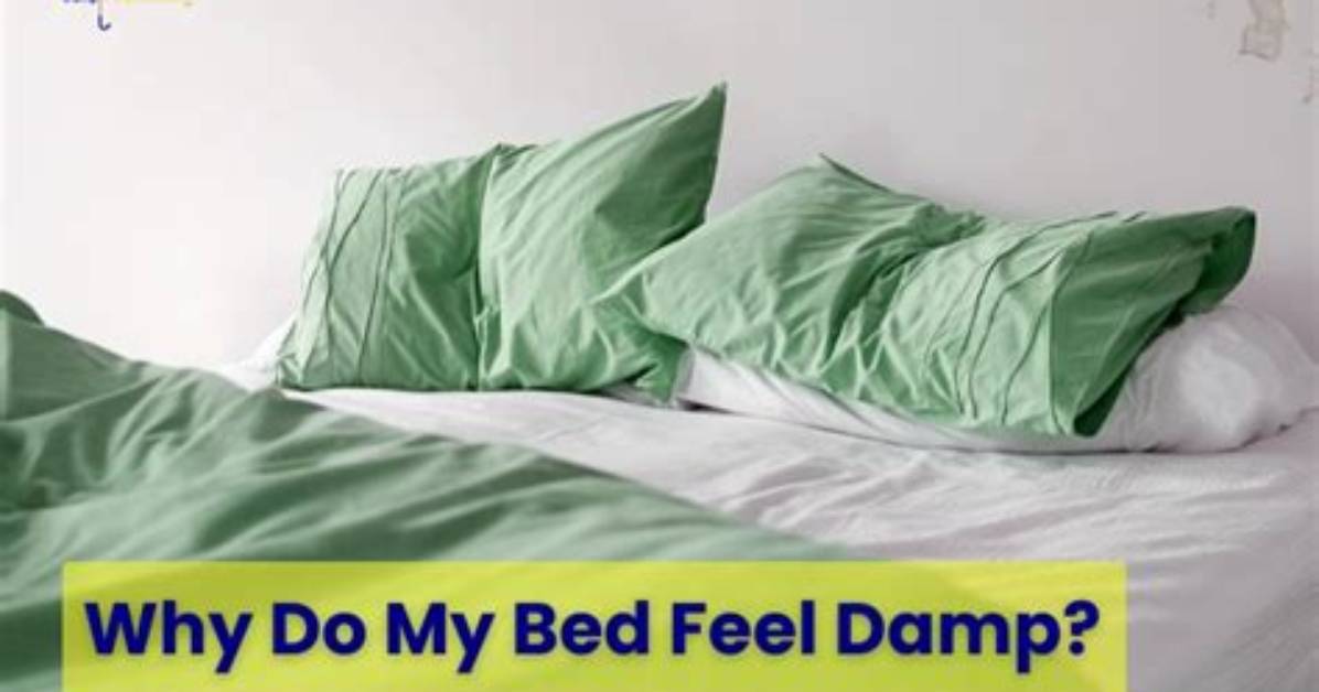 Why Does My Bed Feel Wet