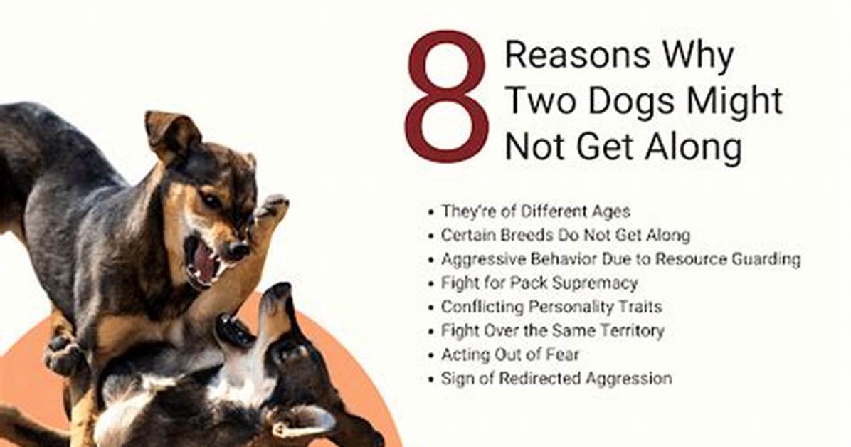 Why Does My Dog Hate My Child?