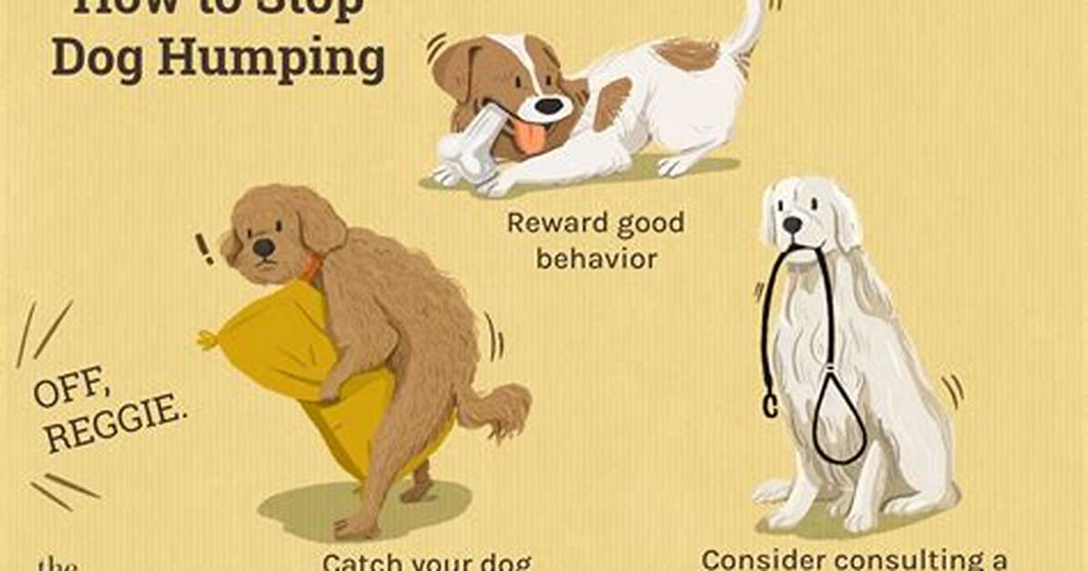 Why Does My Dog Try to Stop Me from Walking?