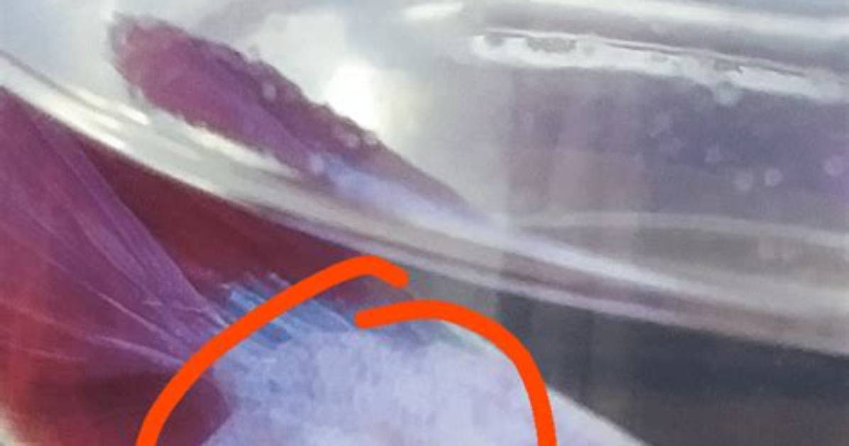 Why Does My Fish Have a Bump?