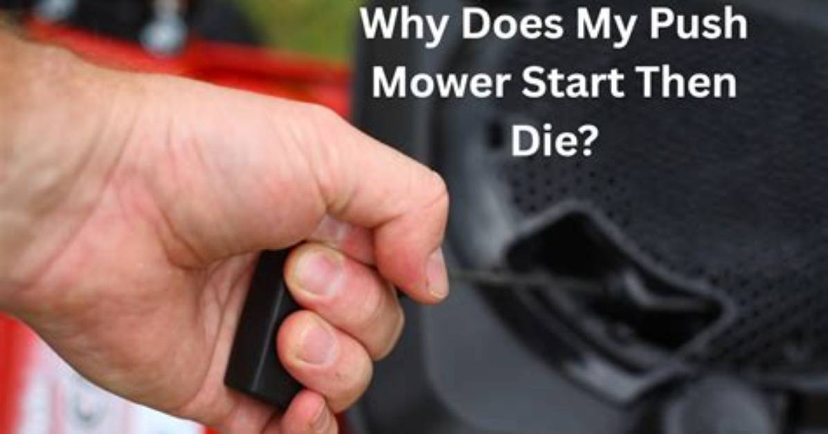 Why Does My Petrol Mower Start Then Cut Out