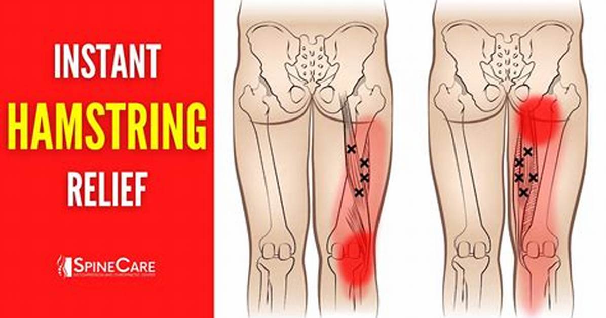 Why Does My Semitendinosus Hurt?