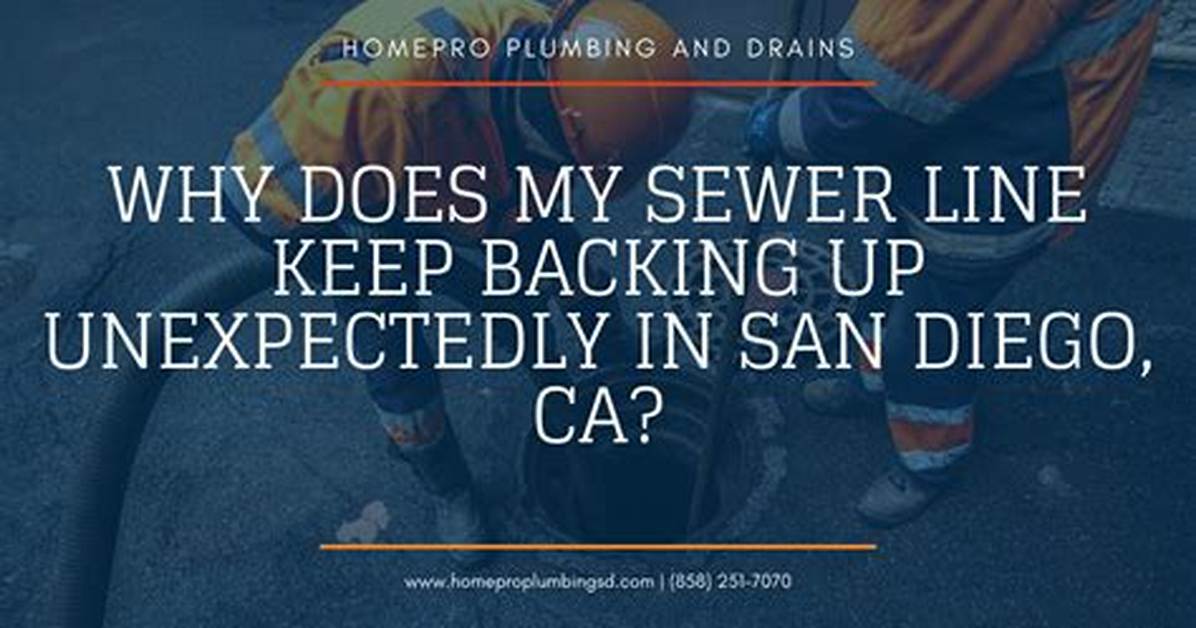 Why Does My Sewer Back Up