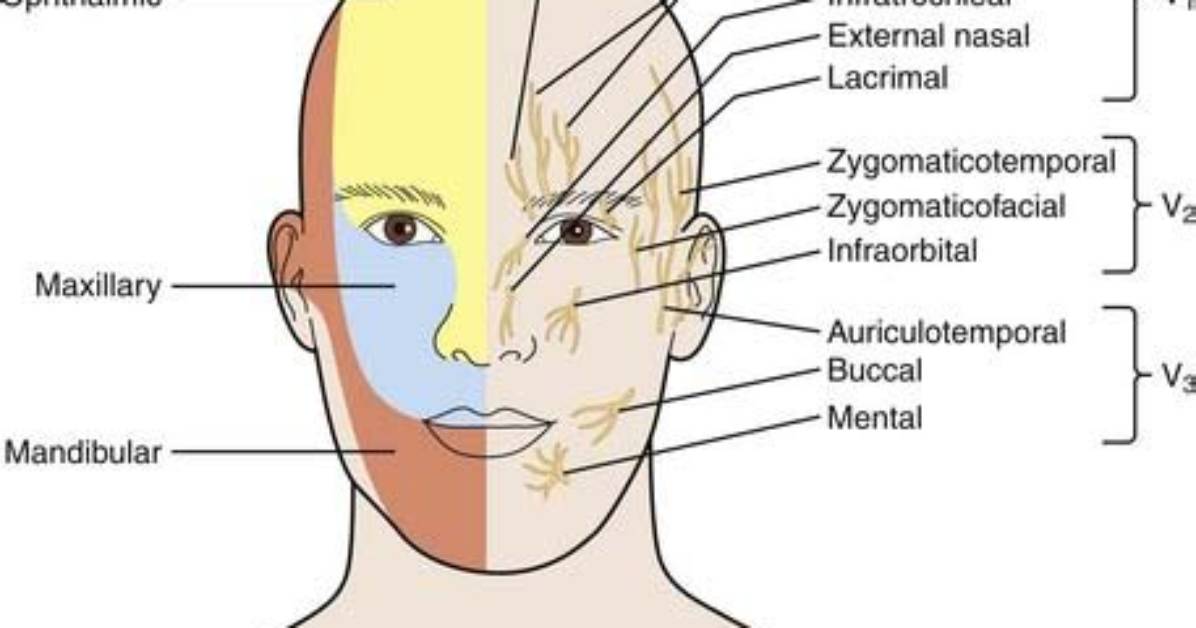 Why Does My Supraorbital Nerve Hurt?