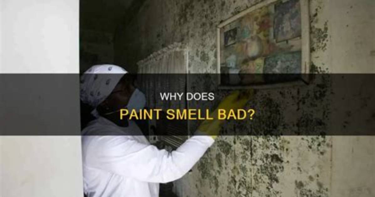 Why Does Old Paint Smell Bad