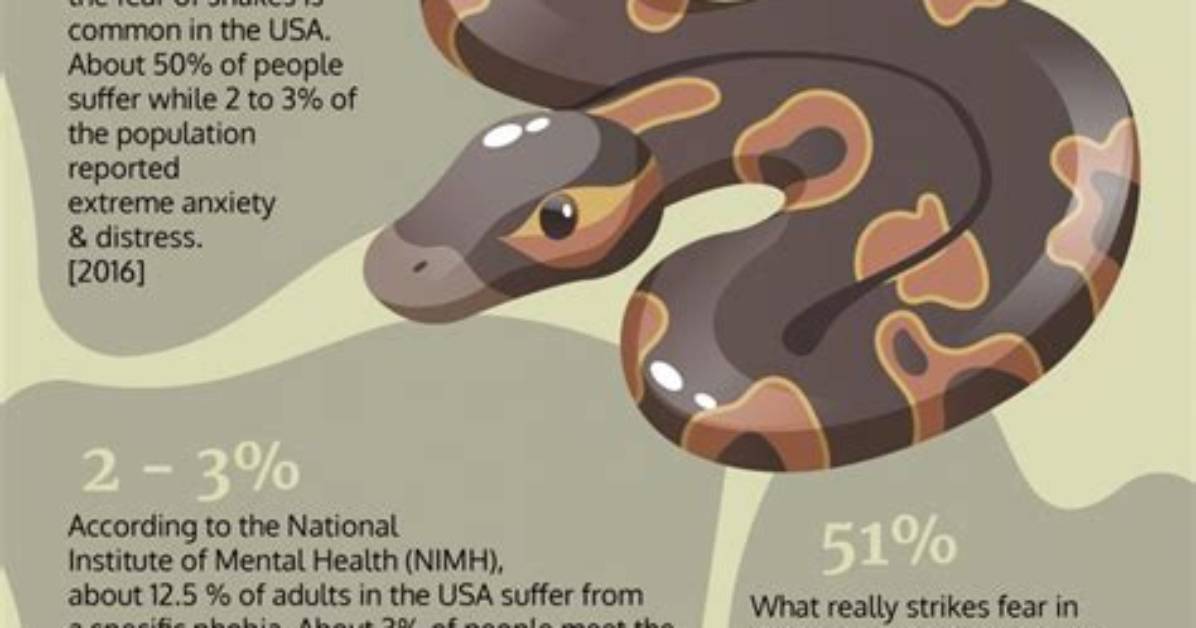 Why Does Ophidiophobia Mean?