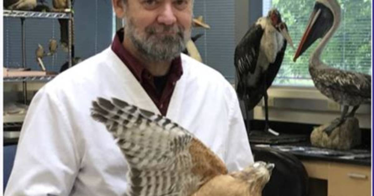 Why Does Ornithologist Mean?