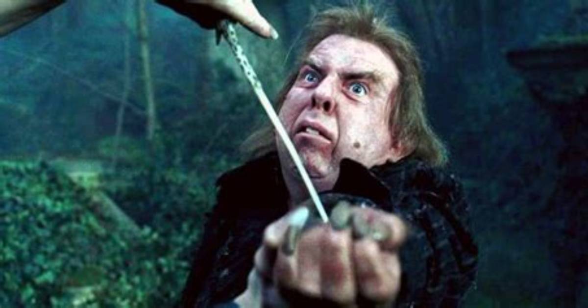 Why Does Pettigrew's Hand Kill Him?