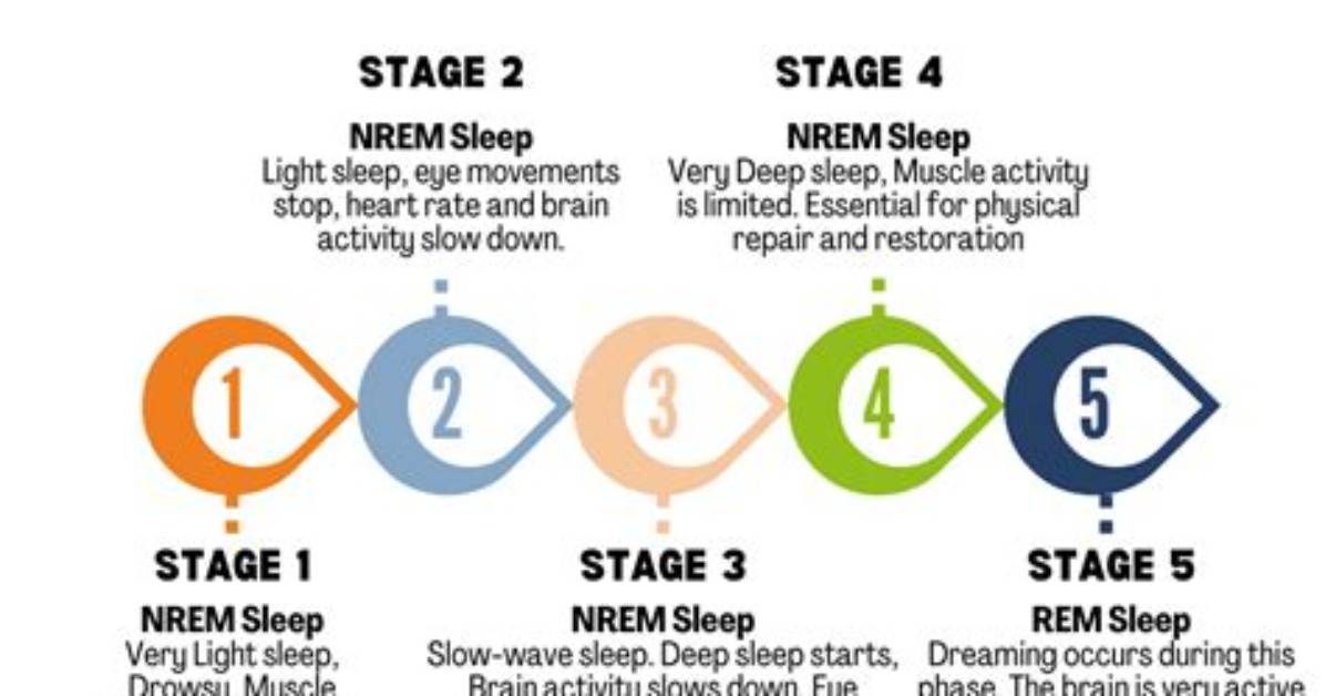Why Does Rem Sleep Occur?