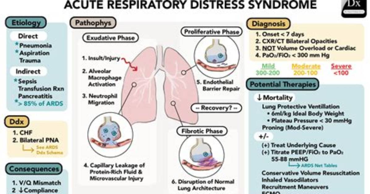 Why Does Respiratory Distress Occur?