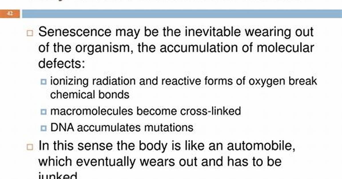 Why Does Senescence Occur?