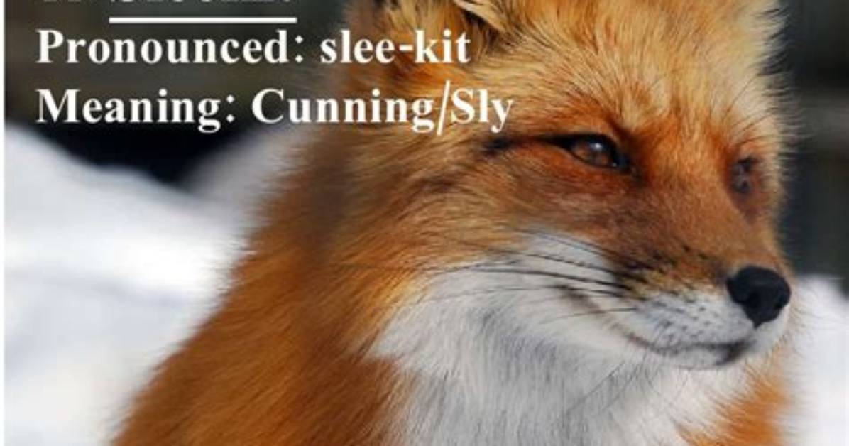 Why Does Sleekit Mean?