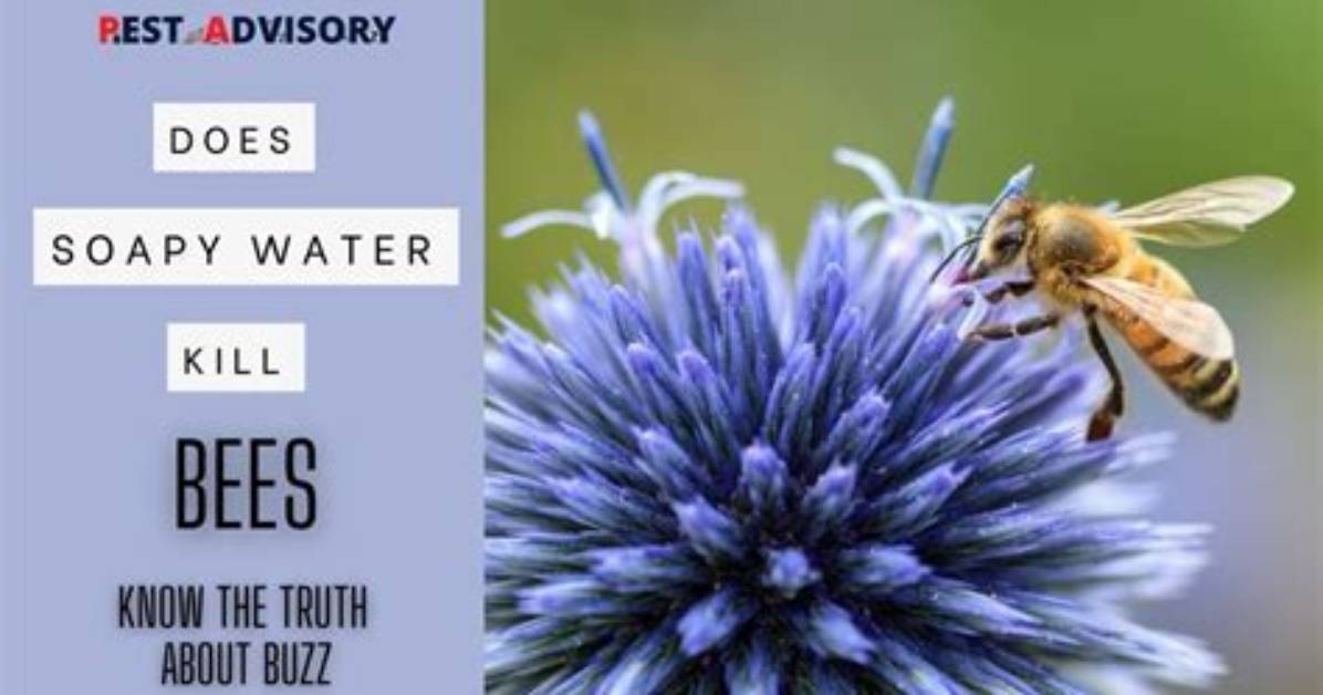 Why Does Soapy Water Kill Bees?