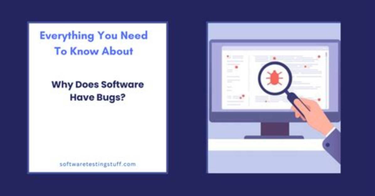 Why Does Software Have Bugs