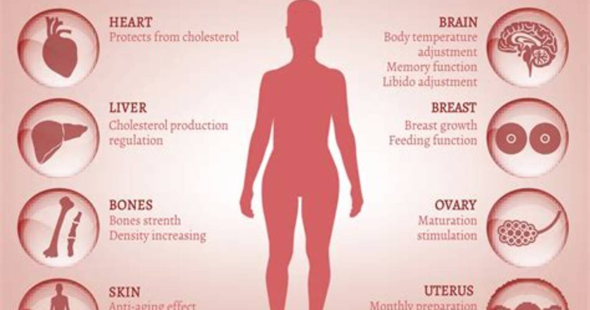 Why Does Soy Milk Have Estrogen?