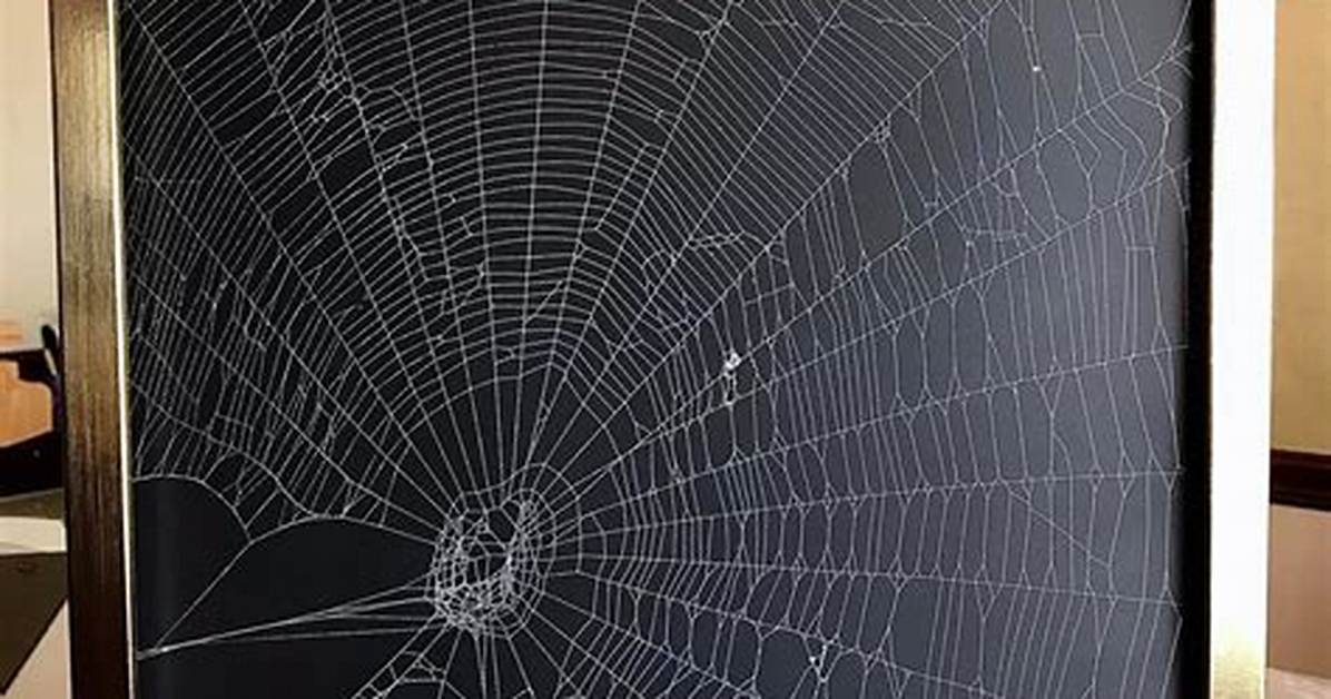Why Does Spray Paint Spider Web