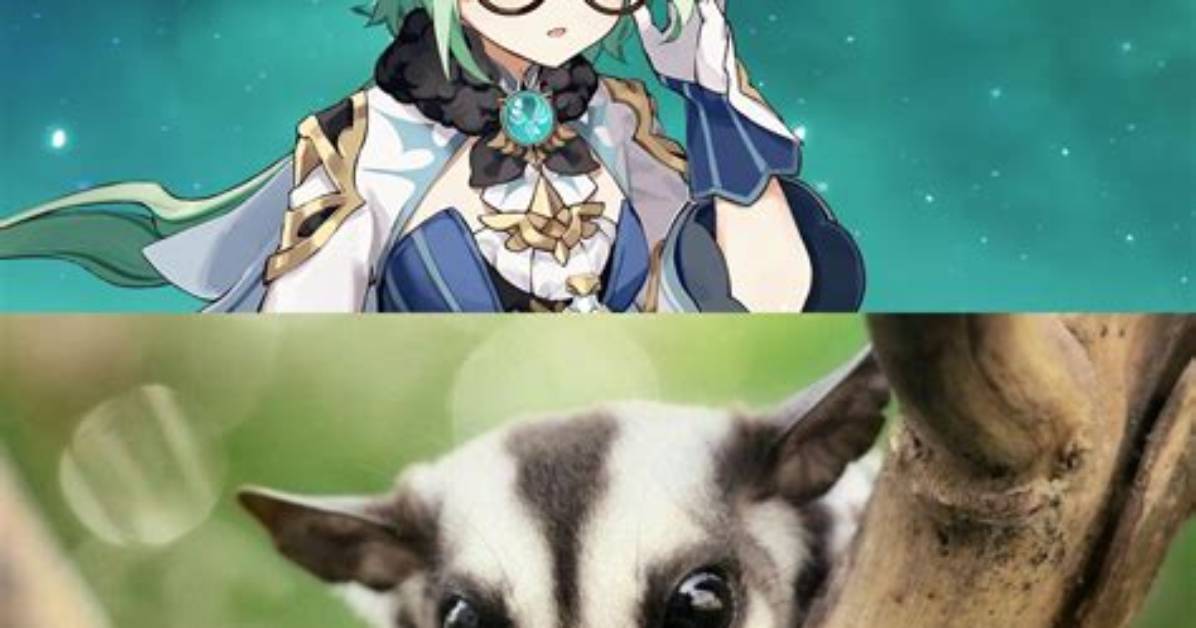 Why Does Sucrose Hide Her Ears?