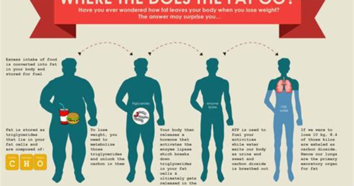 Why Does the Body Go into a Coma?