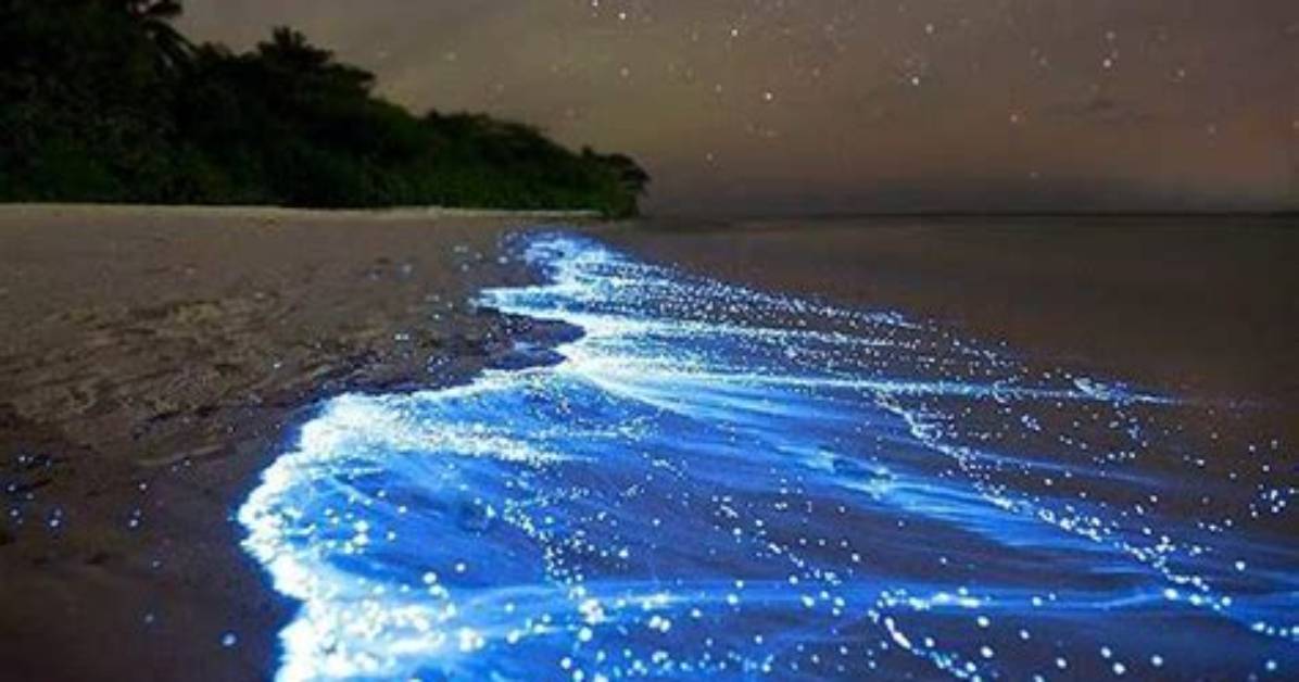 Why Does Vaadhoo Island Glow?