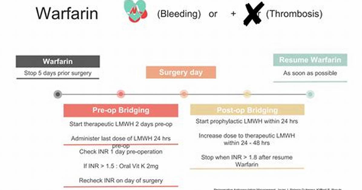 Why Does Warfarin Need to Be Bridged?