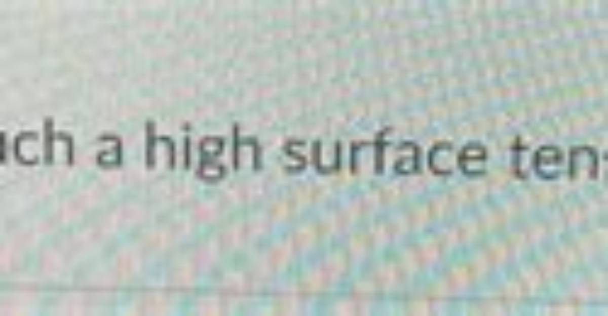 Why Does Water Have a High Surface Tension?