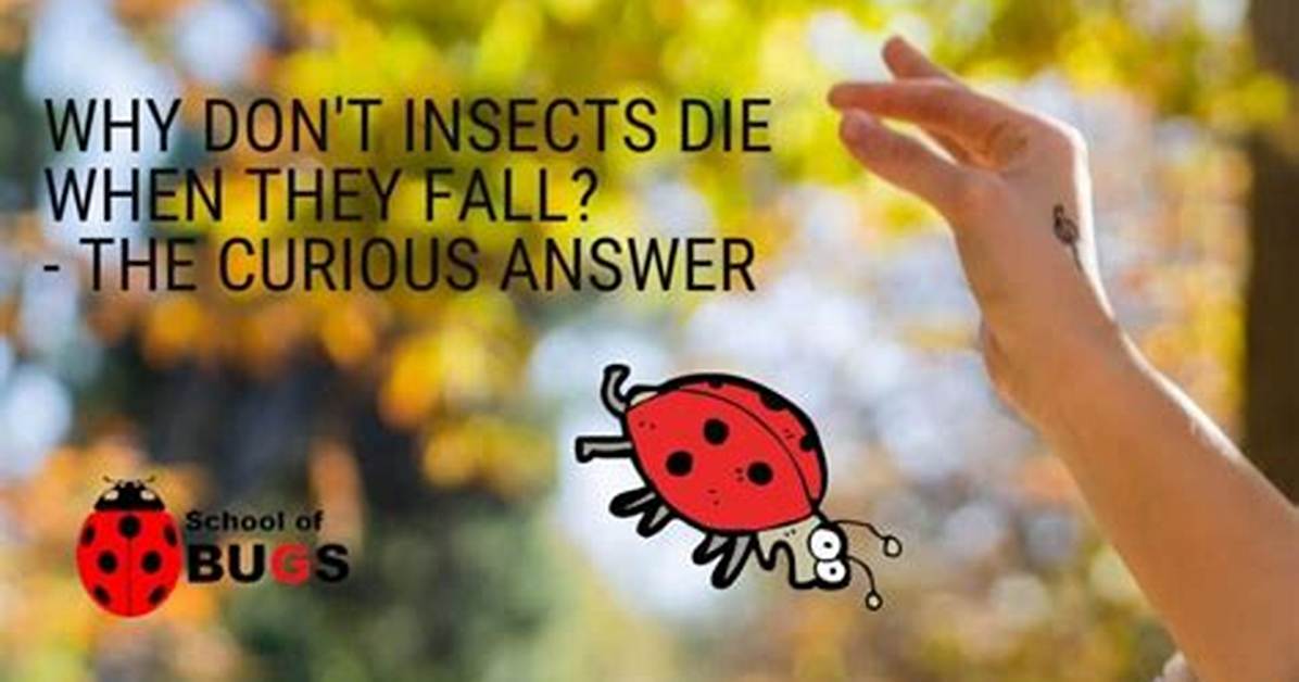 Why Don't Bugs Die from Falling?