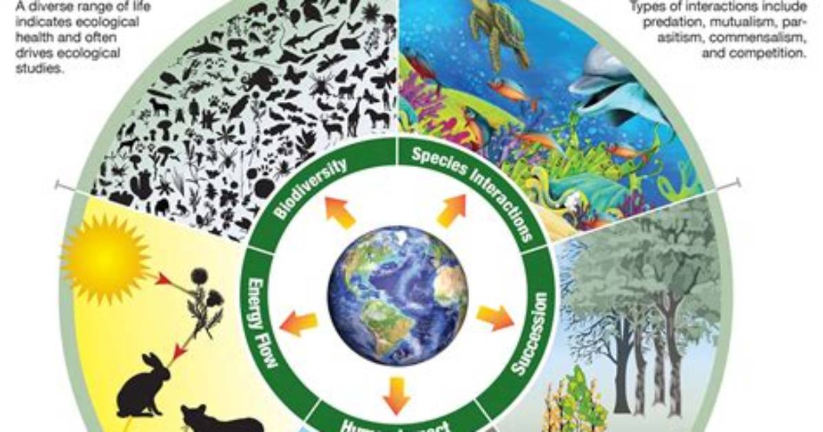 Why Ecology Is a Science?