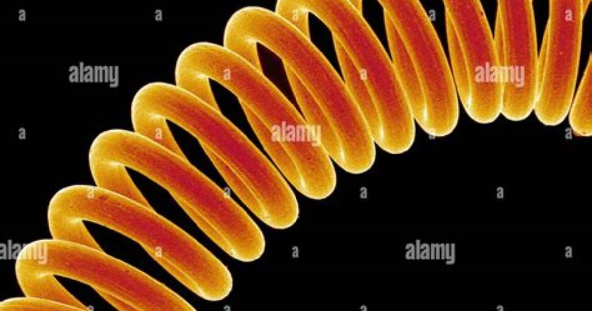 Why Filament Is Coiled?