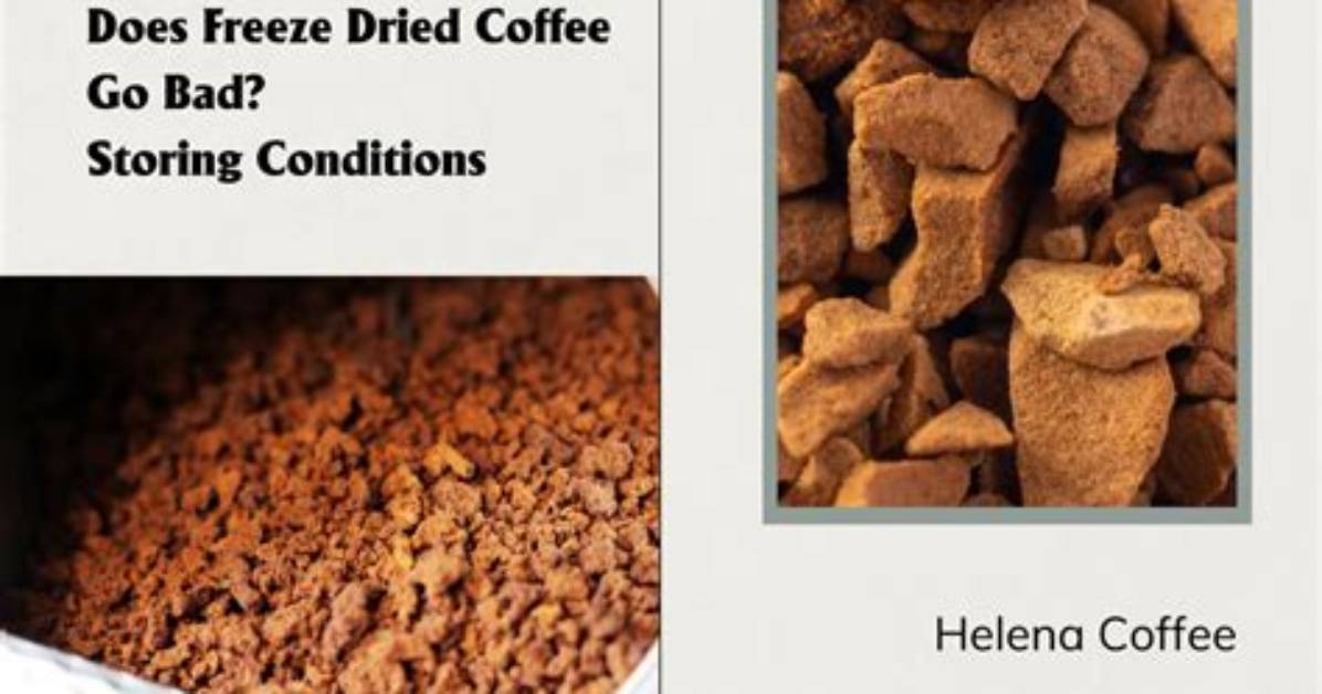 Why Freeze Dry Coffee?