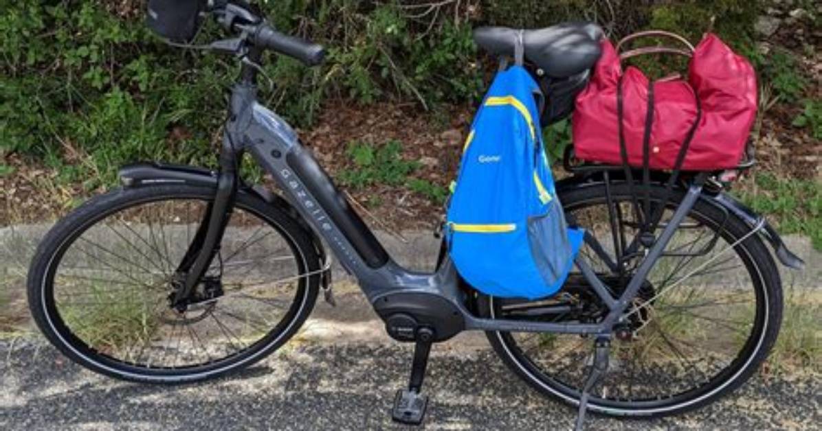 Why Get a Panniers?